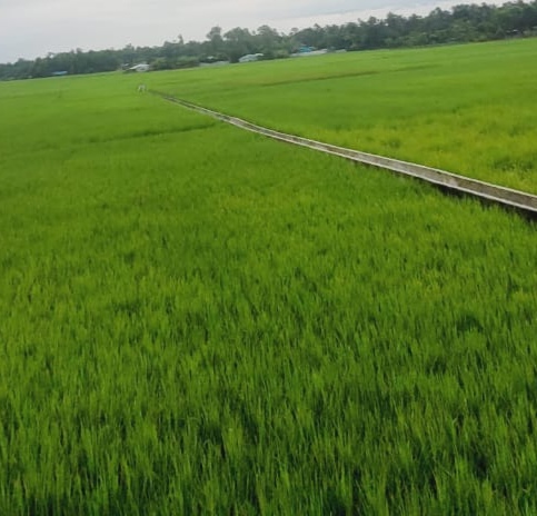 জনাব মওলানা ছাবের আহমদ